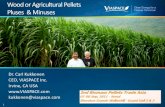Wood or Agricultural Pellets Pluses & Minuses - Viaspace King Grass - Asia... · Wood or Agricultural Pellets Pluses & Minuses Dr. Carl Kukkonen CEO, ... •This is the most important
