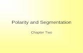 Polarity and Segmentation - University of Vermontbiology/Classes/296B/DN_2.1.pdfPolarity and Segmentation Chapter Two. Polarization ... “Segment polarity” genes 5. ... RA is the