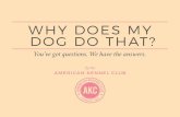 WHY DOES MY DOG DO THAT? - American Kennel Club - …pages.akc.org/rs/americankennel/images/ebook_WhyDoesMyDogDoT… · WHY DOES MY DOG BEG WITH HIS EYES? ... Why Does My Dog Do That?