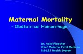 Maternal Mortality - Obstetrical Hemorrhage - Dr. Adiel ... · “Hemorrhage protocol ... Obstetrical Hemorrhage - Dr. Adiel Fleischer ... blood-products, several previous cesarean