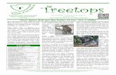 Treetops - Friends of the Koala Inc. · plantation development, ... many different and some excit-ing rescues, ... things happen. The razor wire is not that forgiving, ...