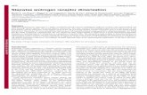 Stepwise androgen receptor dimerization - Journal of …jcs.biologists.org/content/joces/125/8/1970.full.pdfStepwise androgen receptor dimerization Martin E. van Royen1, Wiggert A.