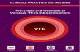 VTE - moh.gov.my of Obstetrics & Gynaecology Ampang Hospital Dr Muralitharan Ganesalingam Consultant Obstetrics & Gynaecology Head of Department Department of Obstetrics & Gynaecology
