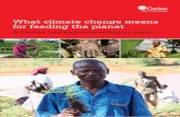 What climate change means for feeding the planet | What climate change means for feeding the planet: a Caritas Internationalis reflection paper Executive summary 3 Part I: Understanding