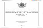 GEOGRAPHY SYLLABUS - Success Africa€¦ · awareness of resource distribution, management and ... Land use planning as a strategy of sustainable environmental management GEOGRAPHY