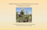 Edible Plants and Wild Resources of the Chihuahuan …wtufc.org/downloads/EdiblePlantsWildResourcesCD-KathBrooks_UofA.pdfEdible Plants and Wild Resources of the Chihuahuan Desert ...