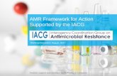 AMR Framework for Action Supported by the IACG - who.int · Supported by the Interagency Coordination Group on Antimicrobial Resistance (IACG) 3 Executive summary AMR is arguably