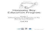 Hanauma Bay Education Program - …hbep.seagrant.soest.hawaii.edu/.../grade7_toolkit_portraitpgs.pdfchain traces the path of energy as it moves from one organism to the next in the