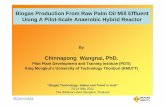 Biogas Production From Raw Palm Oil Mill Effluent Using … ·  · 2016-05-06Using A Pilot-Scale Anaerobic Hybrid Reactor By Chinnapong Wangnai, ... > 60 palm oil mills Wet processing