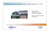 Natural Gas Delivery, Storage & LNG - National Energy ... Library/Research/Oil-Gas...Natural Gas Delivery, Storage & LNG Pipeline Inspection Technologies Demonstration Report 1 EXECUTIVE