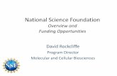 National Science Foundation - ASBMB€¦ · Outline • Overview of NSF – Where we are ... CLP) • Biomaterials ... • Provide undergraduates with research training ...