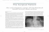 The Surgical Patient - Physiopedia · Our patient is an active and healthy 71-year-old ... ward the stomach and duodenal bulb or distally into ... and prolonged surgical intervention