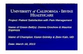 Project: Patient Satisfaction with Pain Management … Patient Satisfaction with Pain Management Name of Green Belt(s): Donna Grochow & Maurice Espinoza Name of Champion: Karen Grimley