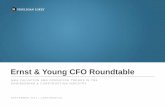 Ernst & Young CFO Roundtable - EYFile/Mergers-and... · Ernst & Young CFO Roundtable M&A VALUATION AND OPERATING TRENDS IN THE ... Sellside Advisor a portfolio company of has been