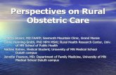Perspectives on Rural Obstetric Care - Community: The ... · Perspectives on Rural Obstetric Care Sandra Stover, ... 4.06 Non-Hispanic White Non-Hispanic Black ... survey period between