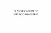 CLASSIFICATION OF MICROORGANISMS - University of …emodules.med.utoronto.ca/UME/12/ClassificationofMicroorganisms.pdf · Describe the broad group classification of microorganisms