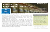 Cartel & Criminal Practice Newsletter - Spring 2014/media/files/pdfs/aba_cartel...CARTEL & CRIMINAL PRACTICE COMMITTEE NEWSLETTER | Issue 2 4 cartel included almost every electrical