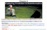 Exploring Evolution & Bioinformatics - Sogang OCWocw.sogang.ac.kr/rfile/2013/course07-CHM1/biochemist… ·  · 2013-06-20Exploring Evolution & Bioinformatics ... modem biochemistry.