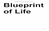 Biology Notes, Module 2, Blueprint of Life, by F.A ... · Biology Notes, Module 2, Blueprint of Life, by F.A 4 | P a g e because of the rate in which they reproduce. Economically