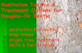Sanitation Tactics & Treatment Options for Douglas-fir …publish/Forest Health... · Sanitation Tactics & Treatment Options for Douglas-fir Beetle ... - Monitor time & magnitude