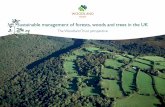Sustainable management of forests, woods and trees in … · improving the environment, creating local jobs, and encouraging recreation and enjoyment. ... Sustainable management of