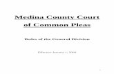 Medina County Court of Common Pleas - Laser Quest€¦ · Medina County Court of Common Pleas ... party complaint by filing with the Clerk of Courts a notice of such leave. ... In