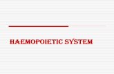 HAEMOPOIETIC SYSTEM - RMC Media Club/4th year/patholgy 4tthyr/blood... · Minerals, vitamins etc: iron, Mn, Co vit B12, folic acid, B6, vit C, E, B1 amino acids ... HAEMOPOIETIC SYSTEM