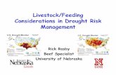 Livestock/Feeding Considerations in Drought Risk …drought.unl.edu/Portals/2/Ranchplan Images/Presentations...Livestock/Feeding Considerations in Drought Risk Management Rick Rasby