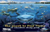 An education study guide · An education study guide ... to further explore the social world of the film’s ... is the largest structure on the planet built entirely by living organisms.