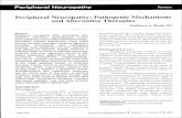 Peripheral Neuropathy: Pathogenic Mechanisms and ... Neuropathy-- Pathogenic...Peripheral Neuropathy Review Peripheral Neuropathy: Pathogenic Mechanisms and Alternative Therapies Kathleen