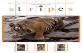 st r i pes - Ministry of Environment, Forest and Climate ... - JAN-FEB 20… · bi-monthly outreach journal of national tiger conservation authorityst r i pes ... stripes.ntca@gmail