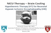 NICU Therapy Brain Cooling - pedrad Therapy – Brain Cooling Hypothermic Therapy ... high risk of CP, MR in survivors . HIE Pathophysiology - Damage Mechanisms ... HIE Diagnosis •