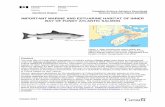 Important Marine and Estuarine Habitat of Inner Bay of … Region Important Marine and Estuarine Habitat for iBoF Salmon 4 fall. Flow direction and velocity at specific times and locations
