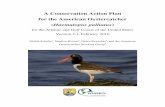 A Conservation Action Plan for the American … Conservation Action Plan for the American Oystercatcher (Haematopus palliatus) for the Atlantic and Gulf Coasts of the United States