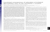 Functional consequences of alteration of N-linked ... · Functional consequences of alteration of N-linked glycosylation sites on the neurokinin 1 receptor ... 2007 vol. 104 no. 25