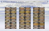 Angel Dee’s Coins and Collectibles Dee’s Coins and Collectibles ® 1919 PCGS MS67+Secure 1919-D PCGS MS66+Secure 1919-S PCGS MS64 Secure 1920 PCGS MS66 Secure ...