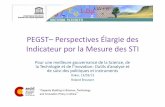 PEGST–Perspectives Élargiedes Indicateurpor la Mesure …€¦ ·  · 2014-10-08MODEL-NSI. Whatare theimplicitchoicesin OECD ... Objectives / goals Farms, informal sector Inter-national