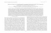 Rhenium behavior in molybdenite in hypogene and …mccgeoscience.com/public_html/PDFs/mccandless ruiz campbell 1993.pdfGeochemistry of Re in molybdenite 891 FIG. 3. Infrared microscopy