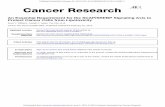 An Essential Requirement for the SCAP/SREBP …jung/pdfs/300.pdfProtect Cancer Cells from Lipotoxicity An Essential Requirement for the SCAP/SREBP Signaling Axis to € Updated version