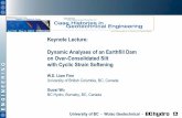 Keynote Lecture: Dynamic Analyses of an Earthfill Dam on ... · Keynote Lecture: Dynamic Analyses of an Earthfill Dam on Over-Consolidated Silt with Cyclic Strain Softening W.D. Liam