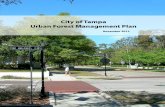 City of Tampa Urban Forest Management Plan. …waterinstitute.usf.edu/.../Tampa_UrbanForestManagementPlan_Nov2013...Tampa’s urban forest management plan, and accepted by the Steering