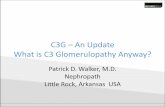 C3G An Update What is C3 Glomerulopathy Anyway?bns-hungary.hu/documents/22bns/2015bns_0829_0955.pdf · C3G –An Update What is C3 Glomerulopathy Anyway? Patrick D. Walker, M.D. Nephropath