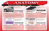 ANATOMY - postgraduatebooks.jaypeeapps.compostgraduatebooks.jaypeeapps.com/pdf/Basic_Science/Anatomy...Important spotters and common discussion topics for practical examinations are