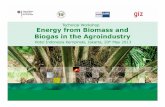 Energy from Biomass and Biogas in the Agroindustryindonesien.ahk.de/fileadmin/ahk_indonesien/Bilder/...Energy from Biomass and Biogas in the Agroindustry Connecting to the Grid : Administrative