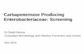 Carbapenemase Producing Enterobacteriaceae: Screening scre… · Aims • Is CPE a problem? • Does screening have the potential to help? • What did we do? What do we do now? •