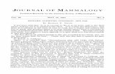 JOURNAL OF MAMMALOGY - Smithsonian Institutionvertebrates.si.edu/birds/Hall_of_fame/InMemoriamPDFs/Goldman.pdf · JOURNAL OF MAMMALOGY ... many attendants about him that can win the