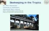 Dr. Peter Rosenkranz University of Hohenheim ... · Dr. Peter Rosenkranz University of Hohenheim ApiculturalState Institute ... Stingless bees (Melipona spec.) ... An Apis cerana