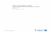 TIBCO ActiveMatrix® BPM Client Application Developer… · Configuring a Dynamic Organization Model Extension Point ... Process Instance State Transitions ... Using Attributes in