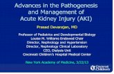 Advances in the Pathogenesis and Management of Acute ... · Advances in the Pathogenesis and Management of Acute Kidney Injury ... Understand recent advances in the pathogenesis ...