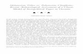 Melanesian Tribes vs. Polynesian Chiefdoms: Recent ...hl-128-171-57-22.library.manoa.hawaii.edu/bitstream/10125/17176/1/...Melanesian Tribes vs. Polynesian Chiefdoms: Recent Archaeological